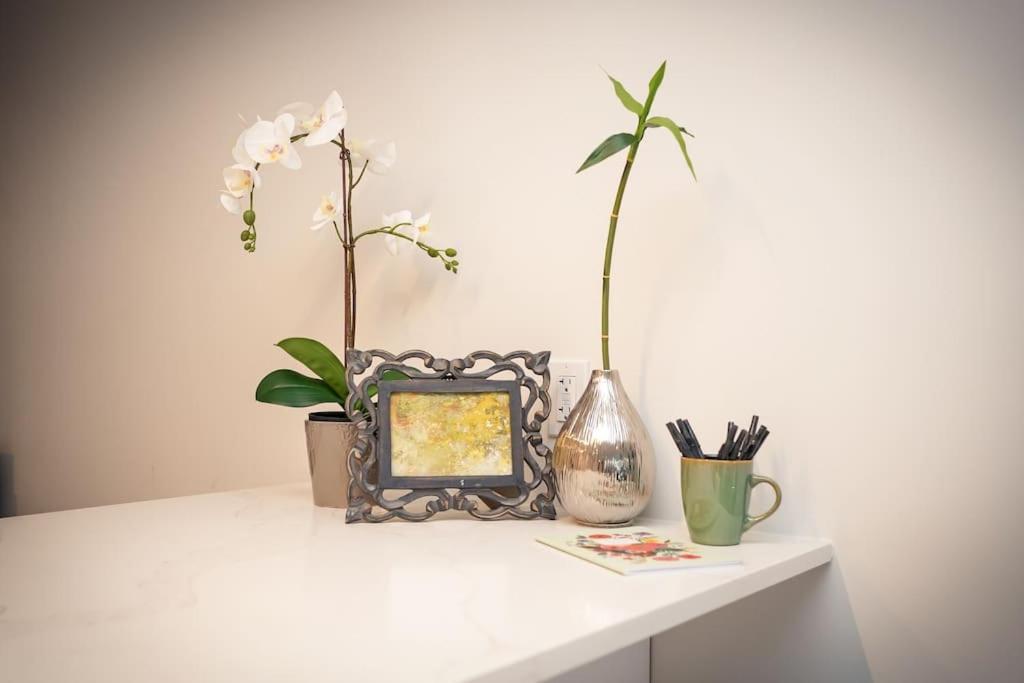 Luxurious Modern 2Br Condo Sleeps 5 Coffee, Ac, Wifi Halifax Exterior photo